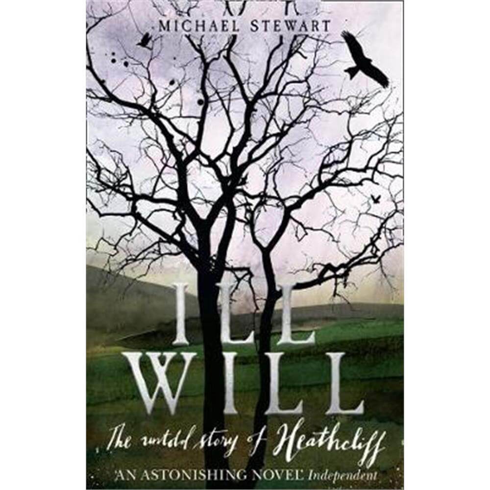 Ill Will (Paperback) - Michael Stewart